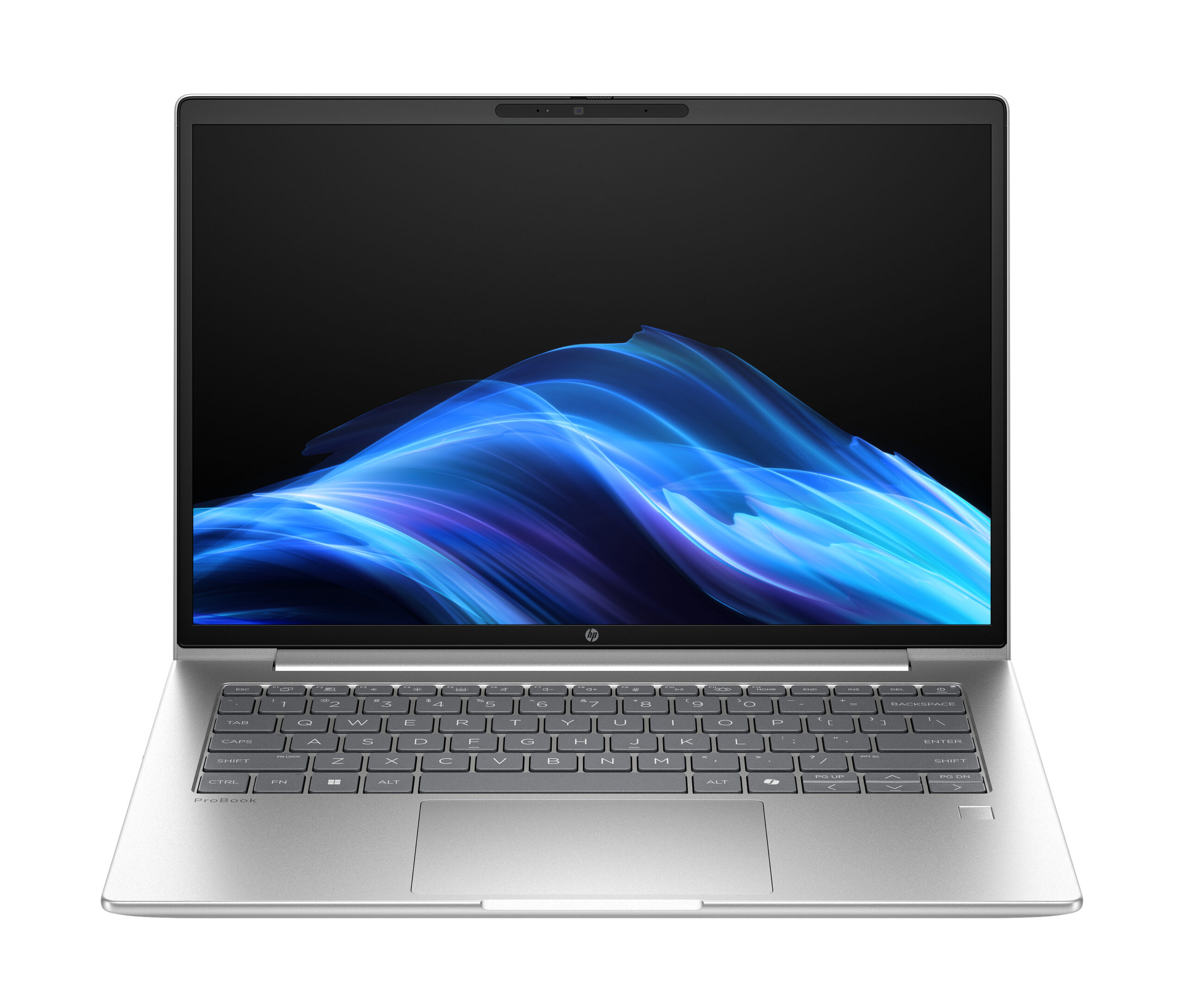Notebook HP ProBook 445 G10 14" WUXGA - AMD Ryzen 5
